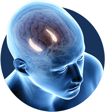 billionaire Brain Wave